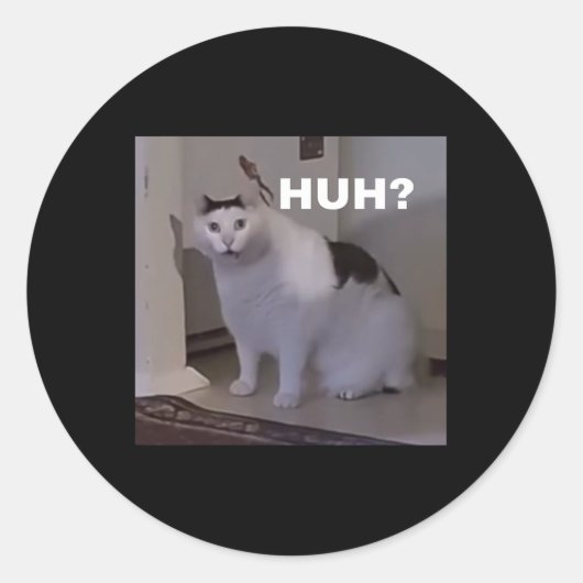 Meme Huh Cat Ronde Sticker (Voorkant)