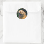 Meme Kat Ronde Sticker (Tas)