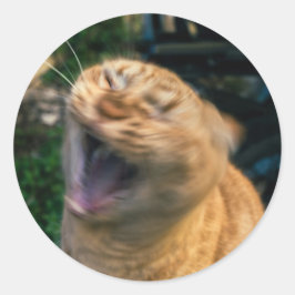 Meme Kat Ronde Sticker