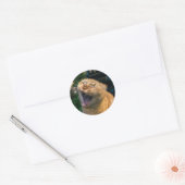 Meme Kat Ronde Sticker (Envelop)