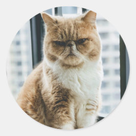 Meme Kat Ronde Sticker