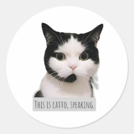 meme kat ronde sticker