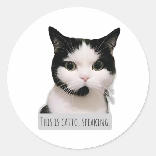 meme kat ronde sticker (Voorkant)