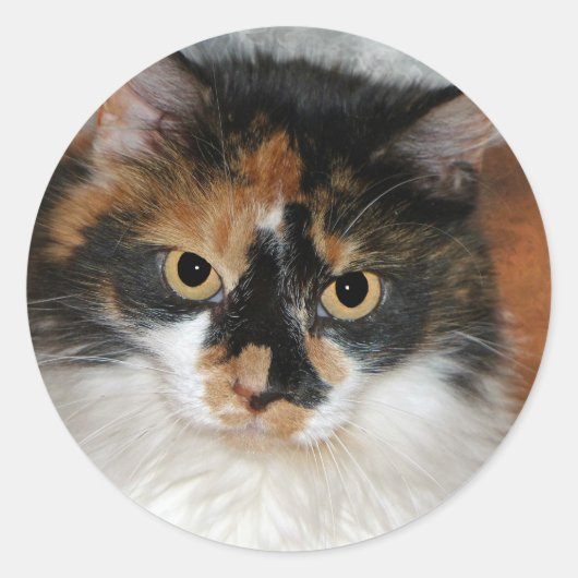 MeMeow Ronde Sticker (Voorkant)