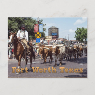 Memorable Fort Worth Texas Cattle Drive Briefkaart