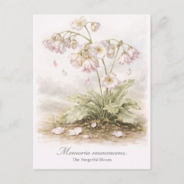 Memoria Evanescens – De Vergeetachtige Bloem Botan Briefkaart