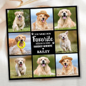 Memorial 8 Photo Collage Pet Dog Loss Herdenking Bedankkaart