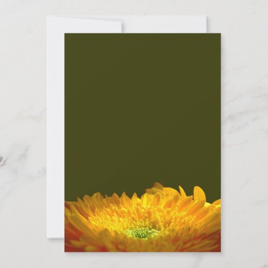 Memorial/Aankondiging Aankondiging (Achterkant)