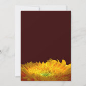 Memorial/Aankondiging Aankondiging (Achterkant)