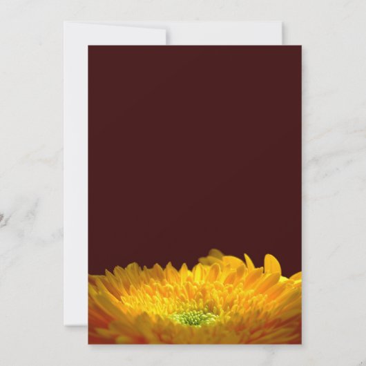 Memorial/Aankondiging Aankondiging (Achterkant)