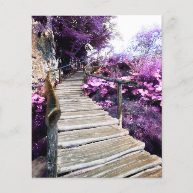 memorial card wisteria trap (Voorkant)