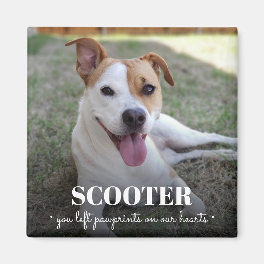 Memorial Dog Photo Pawprints on Our Hearts Magneet (Voorkant)