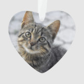 Memorial FOREVER IN ONZE HOOFDKat Foto Ornament (achterkant)