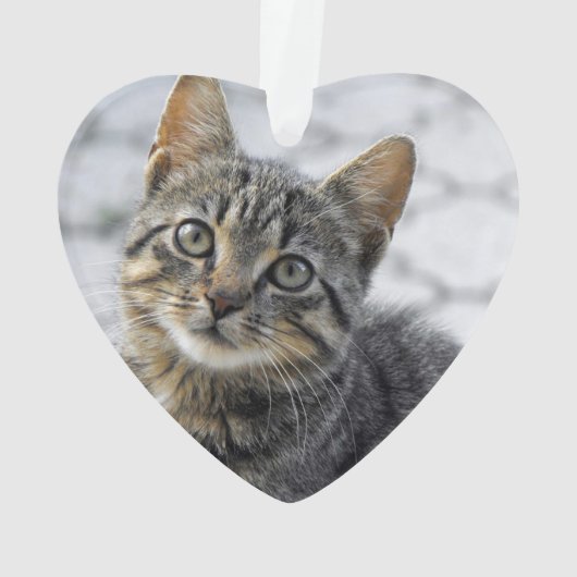 Memorial FOREVER IN ONZE HOOFDKat Foto Ornament (achterkant)