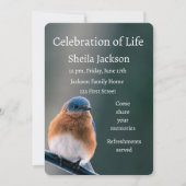 Memorial Foto Bluebird Garden Bird Kaart (Voorkant)