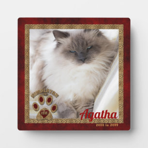 Memorial Foto van Himalayan Cat Fotoplaat
