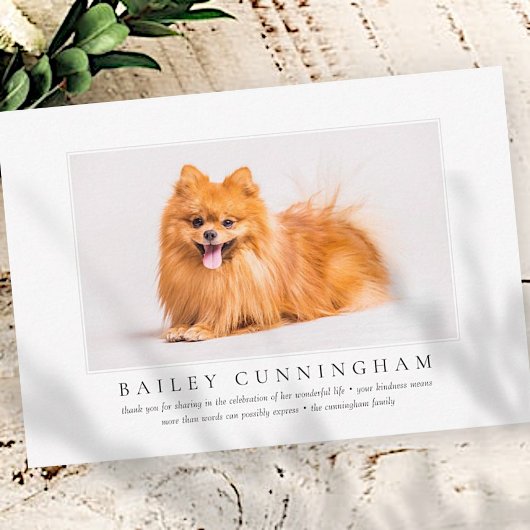 Memorial Funeral for Pet Elegant Chic Modern Photo Bedankkaart