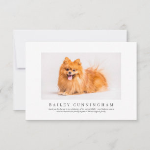 Memorial Funeral for Pet Moderne Elegant-foto Bedankkaart