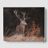 Memorial Grand White Tail Buck Gastenboek (Achterkant)