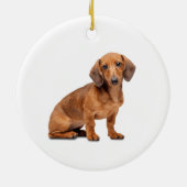 Memorial Keepomwille Dog Pet Animal Ceramic Orname Keramisch Ornament (Achterkant)