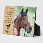 Memorial over herdenkingspaarden bij paarden fotoplaat (Zijkant)