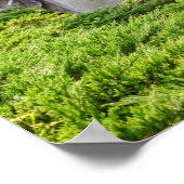 Memorial over oorlogsveteranen poster (Hoek)