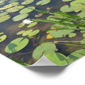 Memorial Park Wetlands Poster (Hoek)