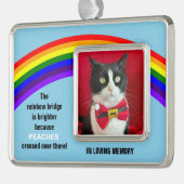 Memorial Pet Cat Christmas Rainbow Bridge Ornament (Links)
