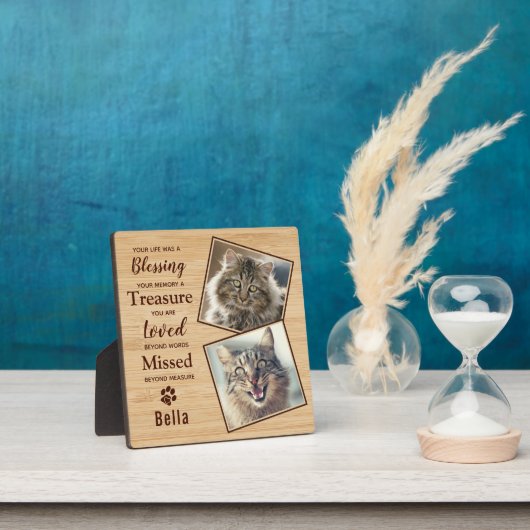 Memorial Pet Cat Fotoplaat (Insitu)