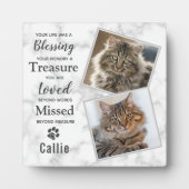 Memorial Pet Cat Fotoplaat (Voorkant)