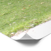 Memorial POW-MIA Poster (Hoek)