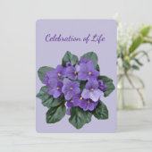 Memorial Service African Violet Houseplant Kaart (Staand voorkant)