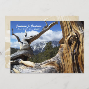 Memorial Service Invitation Mountain, Tree Custom Kaart