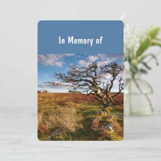 Memorial Service Invite Beauful Desert Savannah Kaart (Staand voorkant)