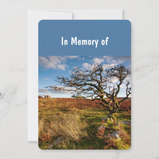 Memorial Service Invite Beauful Desert Savannah Kaart (Voorkant)