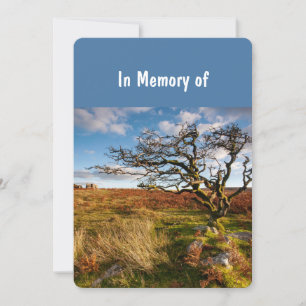 Memorial Service Invite Beauful Desert Savannah Kaart