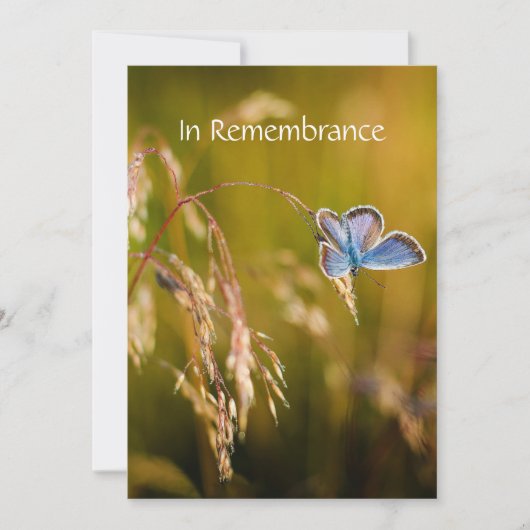 Memorial Service Invite Blue Garden Butterfly Kaart (Voorkant)