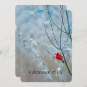 Memorial Service Invite Cardinale Red Bird Kaart (Voorkant / Achterkant)