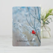 Memorial Service Invite Cardinale Red Bird Kaart (Staand voorkant)