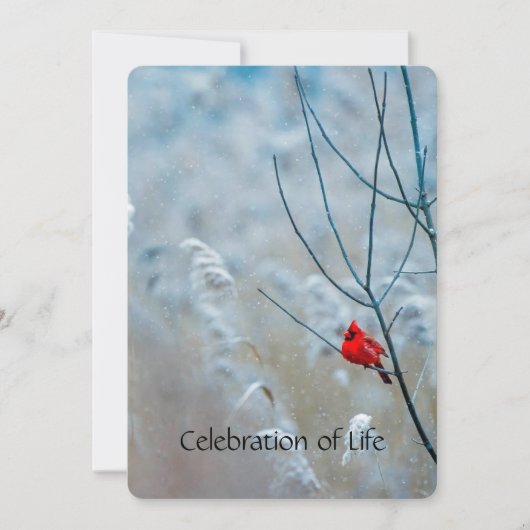 Memorial Service Invite Cardinale Red Bird Kaart (Voorkant)