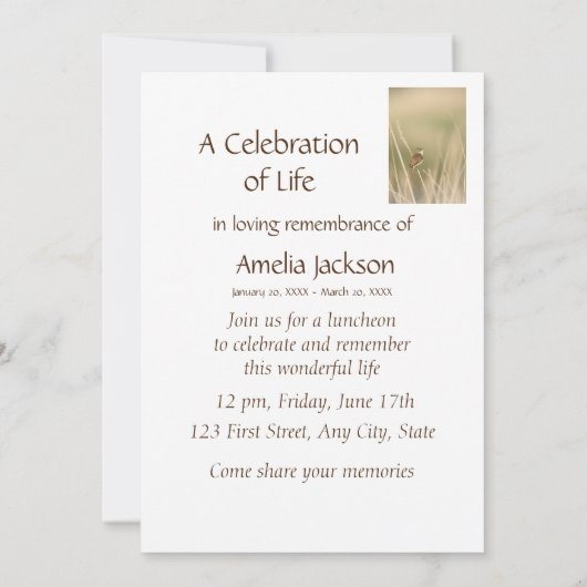Memorial Service Invite Sparrow Bird Watcher Kaart (Achterkant)