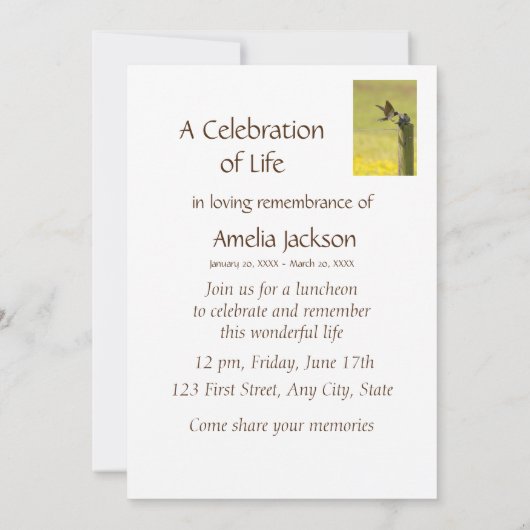 Memorial Service Invite Swallow Bird Watcher Kaart (Achterkant)