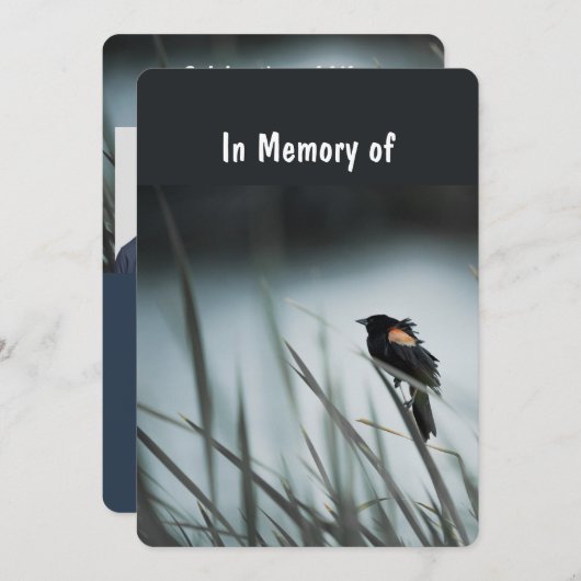 Memorial Service Invite Wetlands Marsh Blackbird Kaart (Voorkant / Achterkant)
