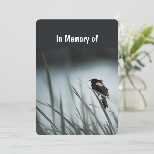 Memorial Service Invite Wetlands Marsh Blackbird Kaart (Staand voorkant)