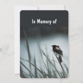 Memorial Service Invite Wetlands Marsh Blackbird Kaart (Voorkant)