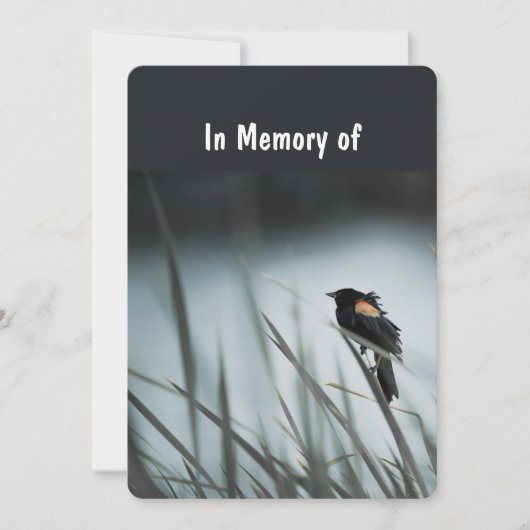 Memorial Service Invite Wetlands Marsh Blackbird Kaart (Voorkant)