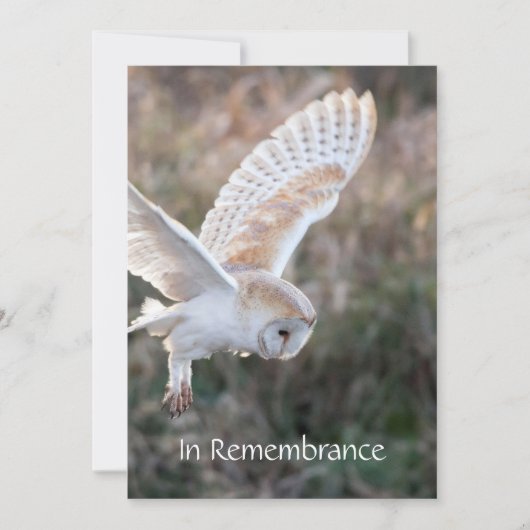 Memorial Service nodigt Barn Owl Bird Flight uit Kaart (Voorkant)