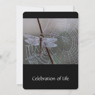Memorial Service nodigt Dragonfly Dewdrops uit Kaart