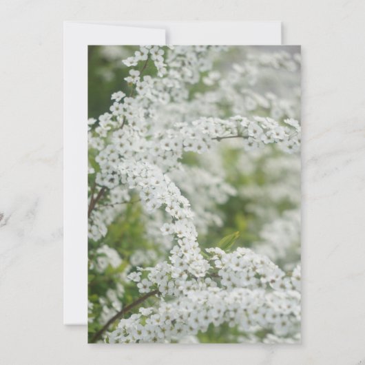 Memorial Service Viering van de Baby van het leven Kaart (Achterkant)