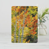 Memorial Service Viering van het leven Aspen Herfs Kaart (Staand voorkant)